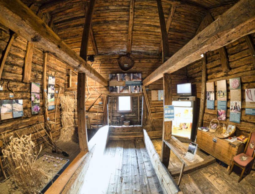 Museum